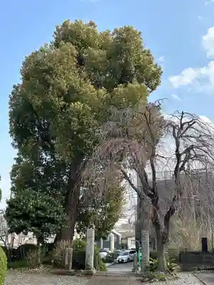 幸延寺(神奈川県)