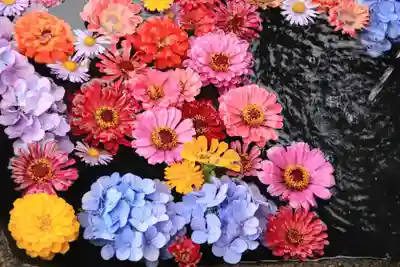 大鏑神社の手水舎