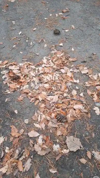 芽生神社の自然