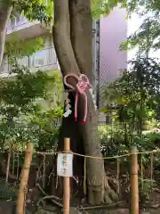 伊和志津神社の自然