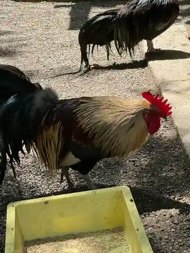 石上神宮(奈良県)