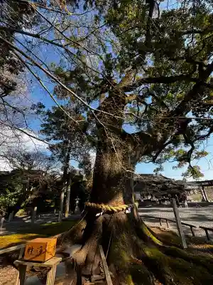 事任八幡宮(静岡県)