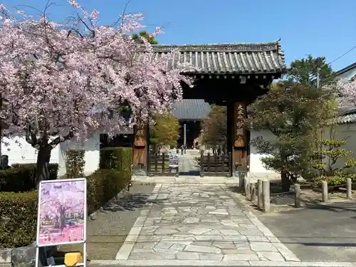 妙顯寺（妙顕寺）の山門