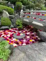 岡寺(龍蓋寺)(奈良県)