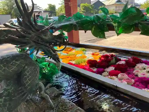 津島神社の手水舎