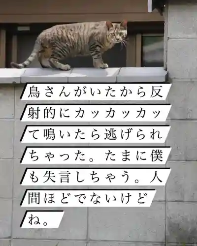 専念寺(大阪府)