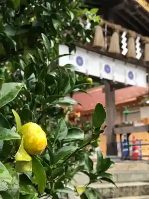 宇倍神社(鳥取県)