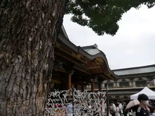湯島天満宮の本殿・本堂