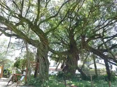 野島神社の自然