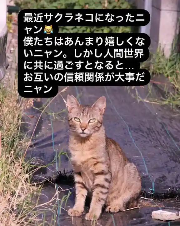 専念寺(大阪府)