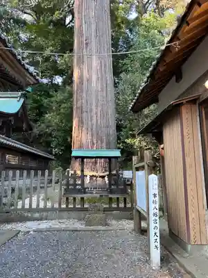事任八幡宮(静岡県)