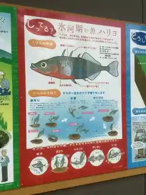 加賀野八幡神社の自然