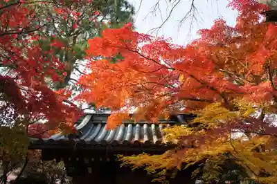 本土寺(千葉県)
