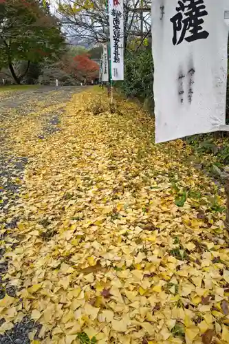 大菩提寺(岐阜県)