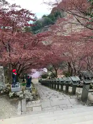 大山寺(神奈川県)