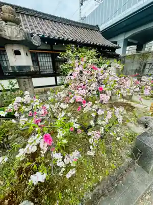 六孫王神社(京都府)