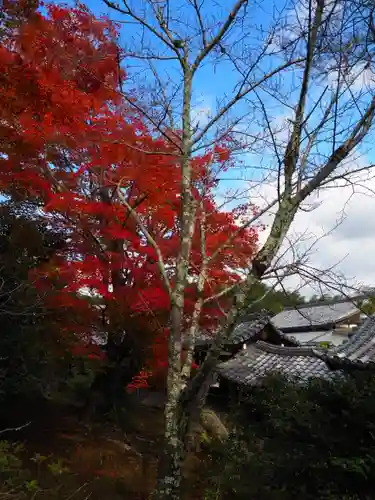 天龍寺(京都府)