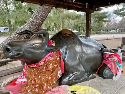 北野天満宮の狛犬