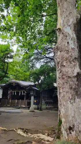 川口神社のその他建物