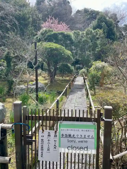 妙法寺の{uncategorized: "未分類", other: "その他", undefined: "問題あり", building: "その他建物", grave: "お墓", sacred_gate: "鳥居", guardian: "狛犬", statue: "像", buddha: "仏像", history: "歴史", nature: "自然", garden: "庭園", animal: "動物", pagoda: "塔", temizu: "手水舎", mountain_gate: "山門・神門", sanctuary: "本殿・本堂", subordinate: "末社・摂社", art: "芸術", scenery: "景色", jizo: "地蔵", ema: "絵馬", goshuin: "御朱印", omikuji: "おみくじ", items: "授与品その他", amulet: "お守り", goshuincho: "御朱印帳", eats: "食事", festival: "お祭り", votive_dance: "神楽", shichigosan: "七五三参", wedding: "結婚式", experience: "体験その他", initially: "初詣", around: "周辺", anti_infection: "感染症対策"}