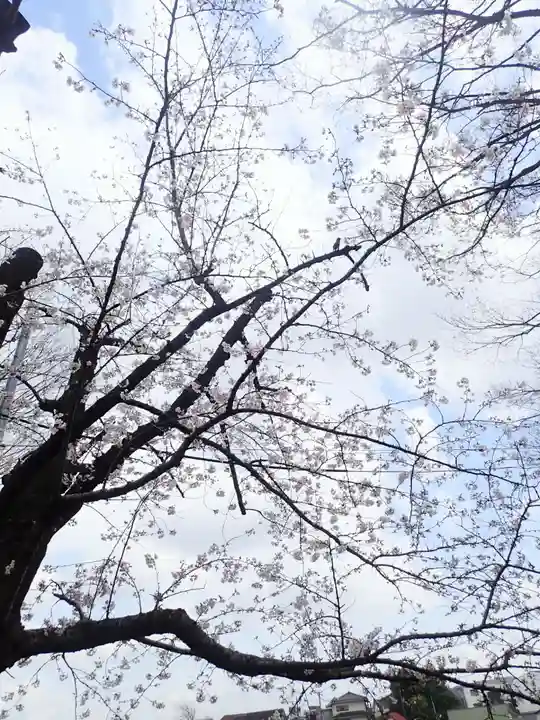 孝道山の御朱印