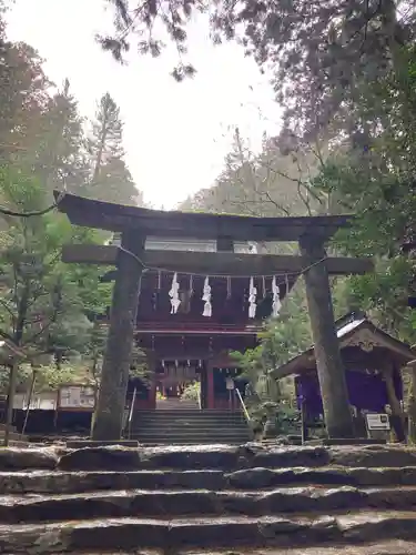 花園神社の鳥居