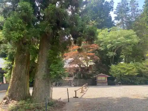 西照神社(徳島県)