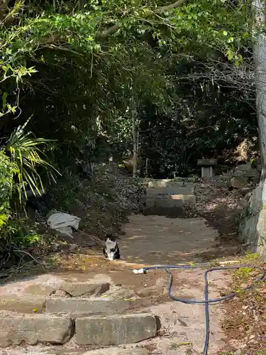 飯盛神社(長崎県)