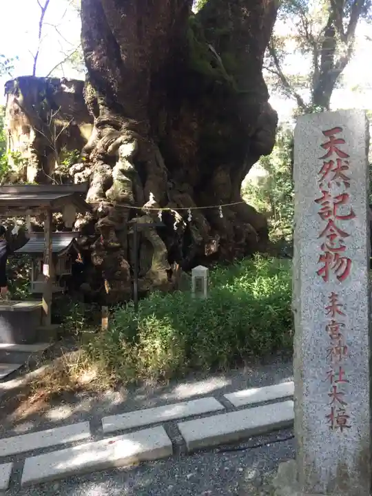 來宮神社の自然