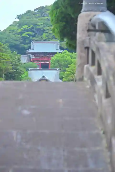 鶴岡八幡宮の景色