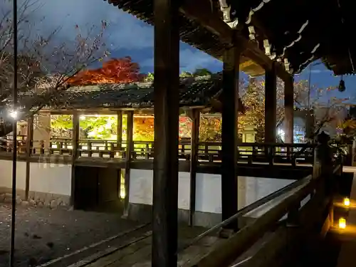 妙顯寺（妙顕寺）(京都府)