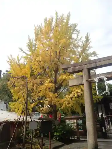 大鷲神社(稲毛神社境内社)(神奈川県)