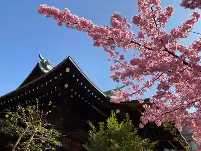 桜神宮(東京都)