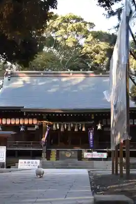 平塚八幡宮の本殿・本堂