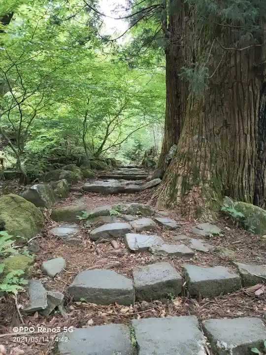 瀧尾高徳水神社 の周辺
