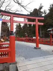 神橋(二荒山神社)の鳥居