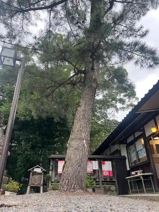 三輪神社(岐阜県)