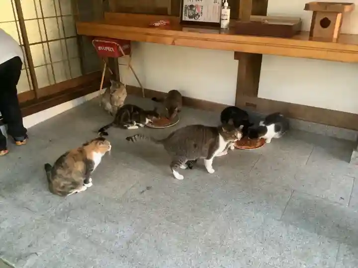 玉野御嶽神社の動物