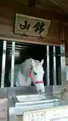 多度大社の動物