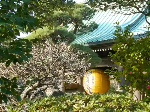 長谷寺のその他建物