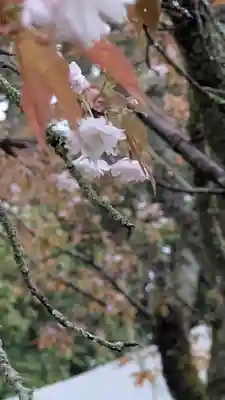 石山寺(滋賀県)