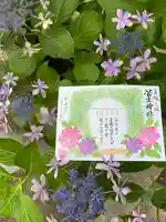 菅生神社の御朱印