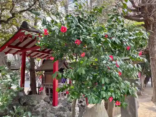 花園神社の自然