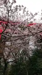 冠稲荷神社(群馬県)