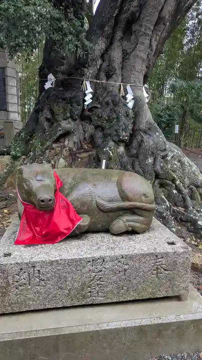 上宮天満宮(大阪府)