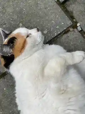 大水上神社(香川県)