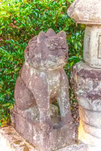 秋保神社の狛犬