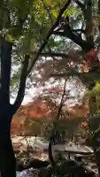 宝満宮竈門神社(福岡県)