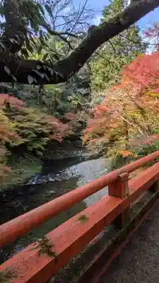 西明寺(京都府)