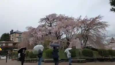 圓山稲荷(京都府)